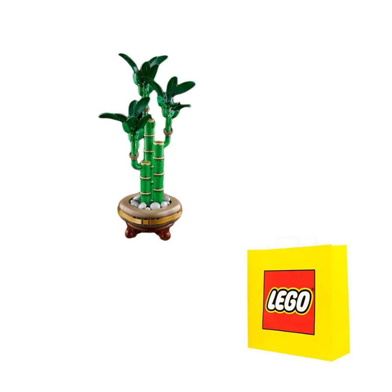 Конструктор LEGO "Bamboo with Flooring Plate" (10344) - Boxette Shop